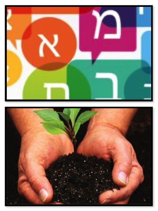 Seeding the Jewish Future With Hebrew: A Twist on Tu B’Shevat